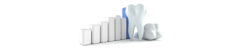 Dental Meridian Tooth Chart